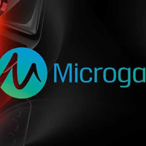 На пике популярности игровые автоматы от «Microgaming»