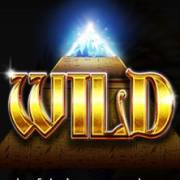 1 Reel Egypt: Wild