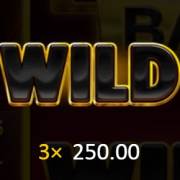 3 Coins Hold and Win: Wild