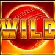 Символ Wild в Cricket Heroes