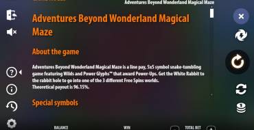 Adventures Beyond Wonderland Magical Maze: Правила