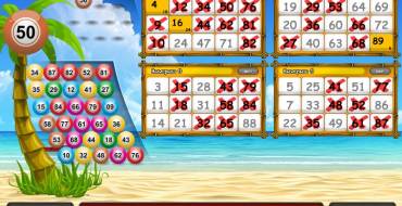 Beach Party Bingo: Выплаты