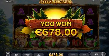 Big Brown: Выигрыши