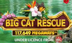 Онлайн слот Big Cat Rescue Megaways играть