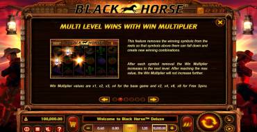 Black Horse Deluxe: Уникальные функции