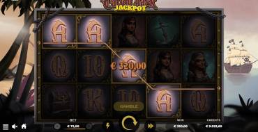 Calico Jack Jackpot: Дизайн