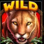 Cougar Cash: Wild