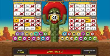 Crazy Cactus Bingo: Билеты