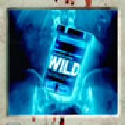 Disturbed: Wild