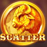 Символ Scatter в Raging Bison