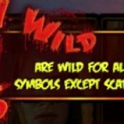 From Dusk till Dawn: Wild