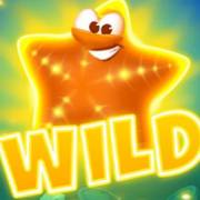 Golden Fish Tank Party: Wild