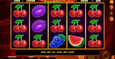 Hot Fruits 20 Cash Spins: Игровой автомат