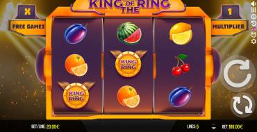 King Of The Ring: Интерфейс