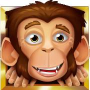 Loco the Monkey: Wild