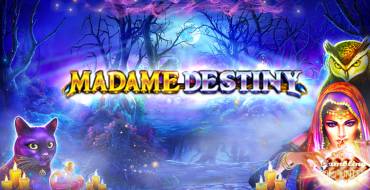 Madame Destiny: Игровой автомат