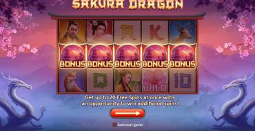 Sakura Dragon: Видеослот Sakura Dradon