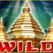 Thai Temple: Wild