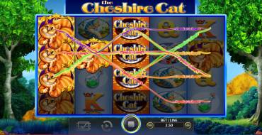 The Cheshire Cat: Выигрыши