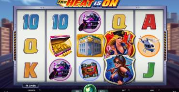 The Heat Is On: Игровой автомат