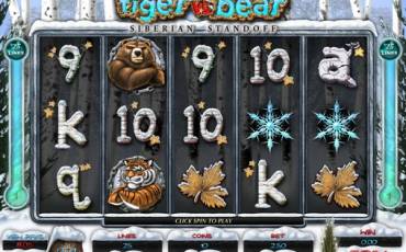 Игровой автомат Tiger vs. Bear – Siberian Standoff