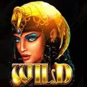 Times Of Egypt: Wild