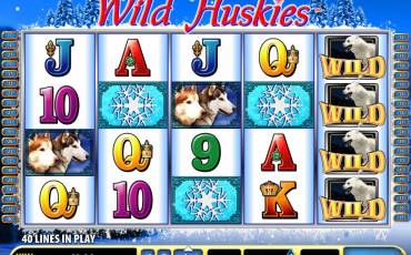 Игровой автомат Wild Huskies