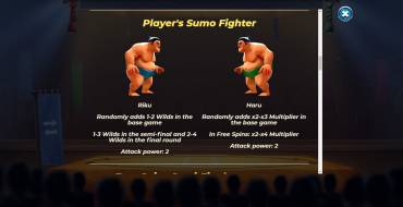 Yokozuna Clash: Поединки